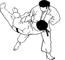 Judo Zele