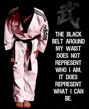 THE BLACK BELT AROUND MY WASTE - jiu jitsu